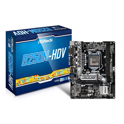 MOTHERBOARD ASROCK B250M-HDV - BWSC